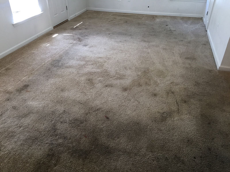 carpet-oil-spots-before