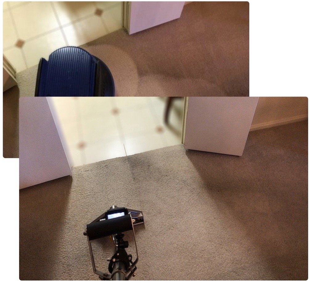 Combo picture of scrubbing and extracting carpets